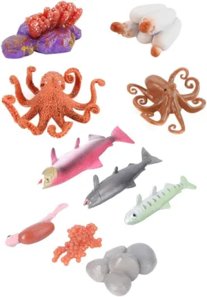 2Sets Realistic Octopus Salmon Growth Cycle Models Educational Figurine Display for for Teaching Scientific Concepts