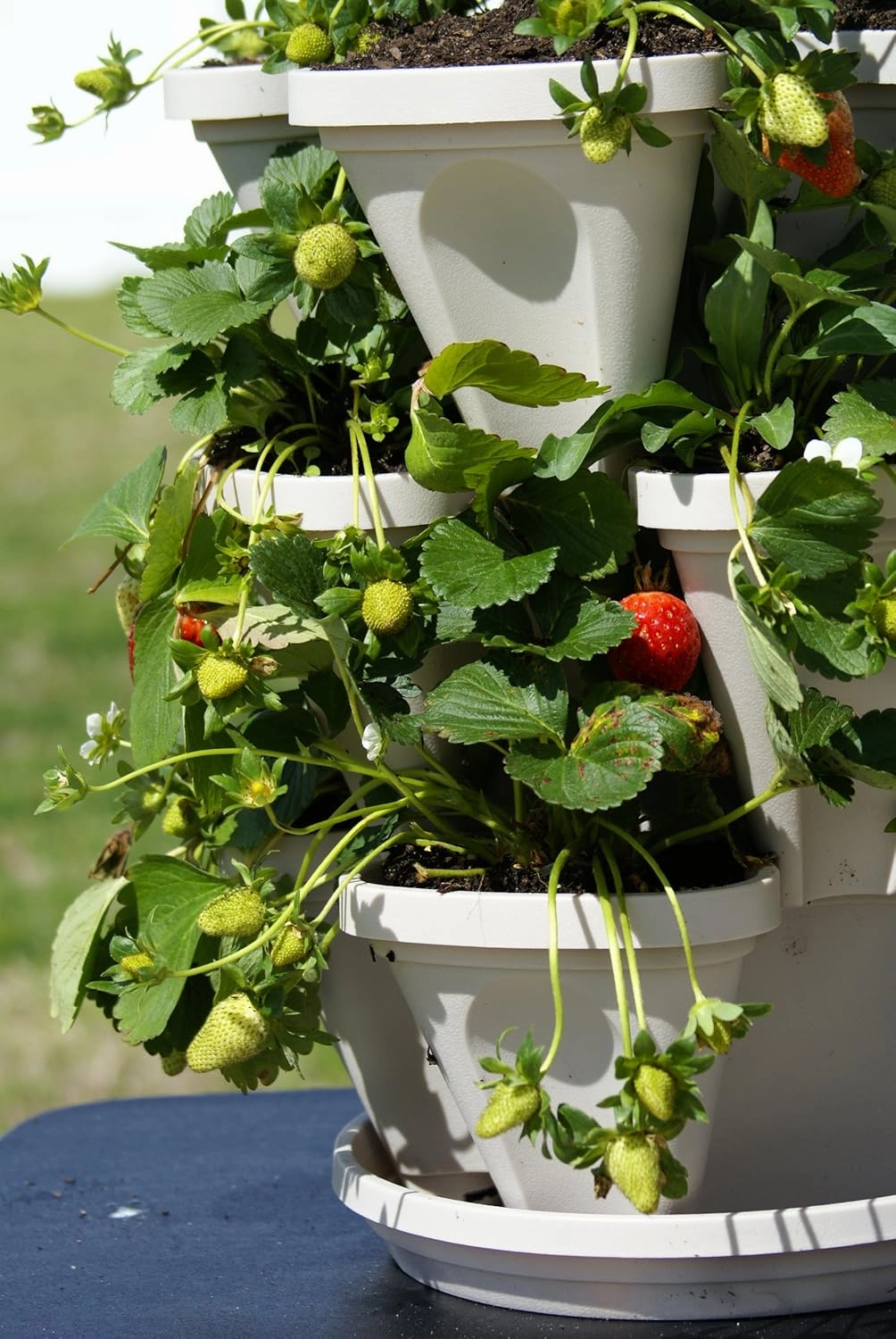 3 Tier Stackable Garden,Indoor,Outdoor Vertical Planter Set,Self Watering Tiers From Top Down,Smart Planting Pots,Used for Strawberries Herbs Peppers Flowers and Succulents (Stone)