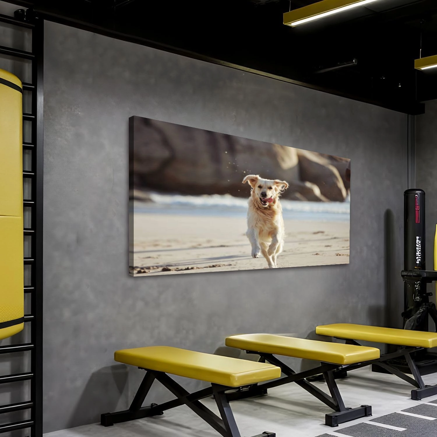 Canvas 30x60 Wall Art for Bedroom Energy running dog beach freedom playing sand along curious fun nature Framed Art Prints Wall Decor for Living Room Ready to Hang Western Home Decor Bathroom Office