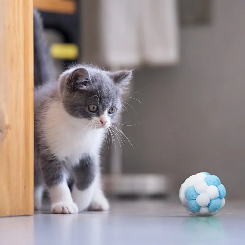 Colorful Plush Ball Set Cat Toys