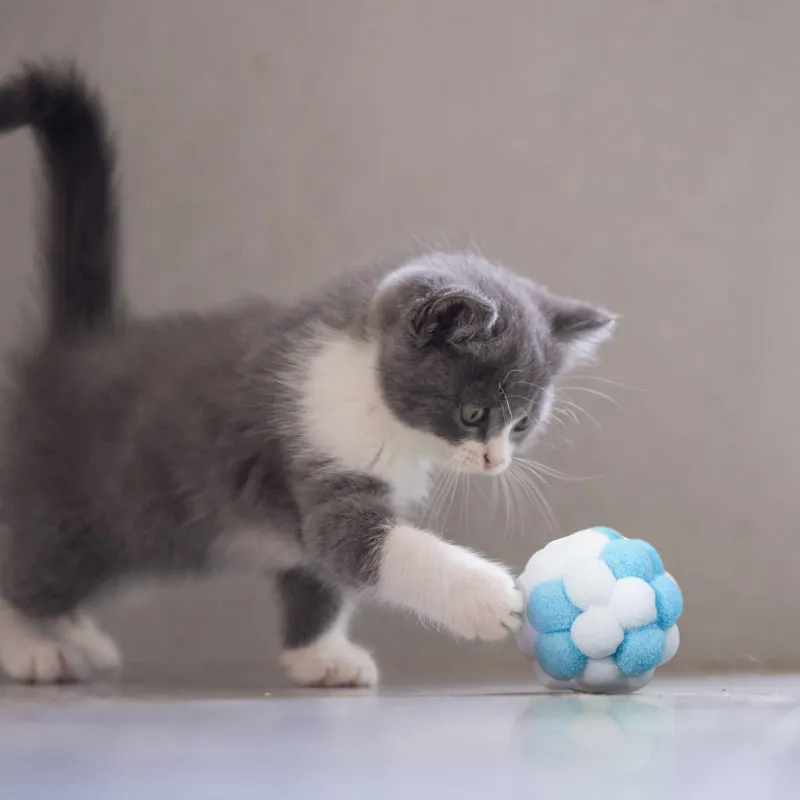 Colorful Plush Ball Set Cat Toys