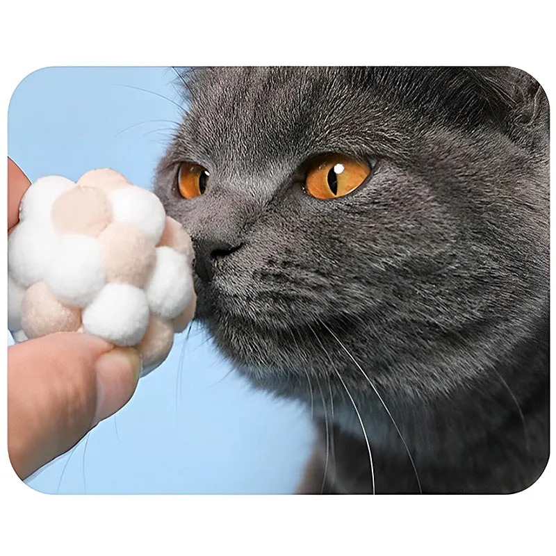 Colorful Plush Ball Set Cat Toys
