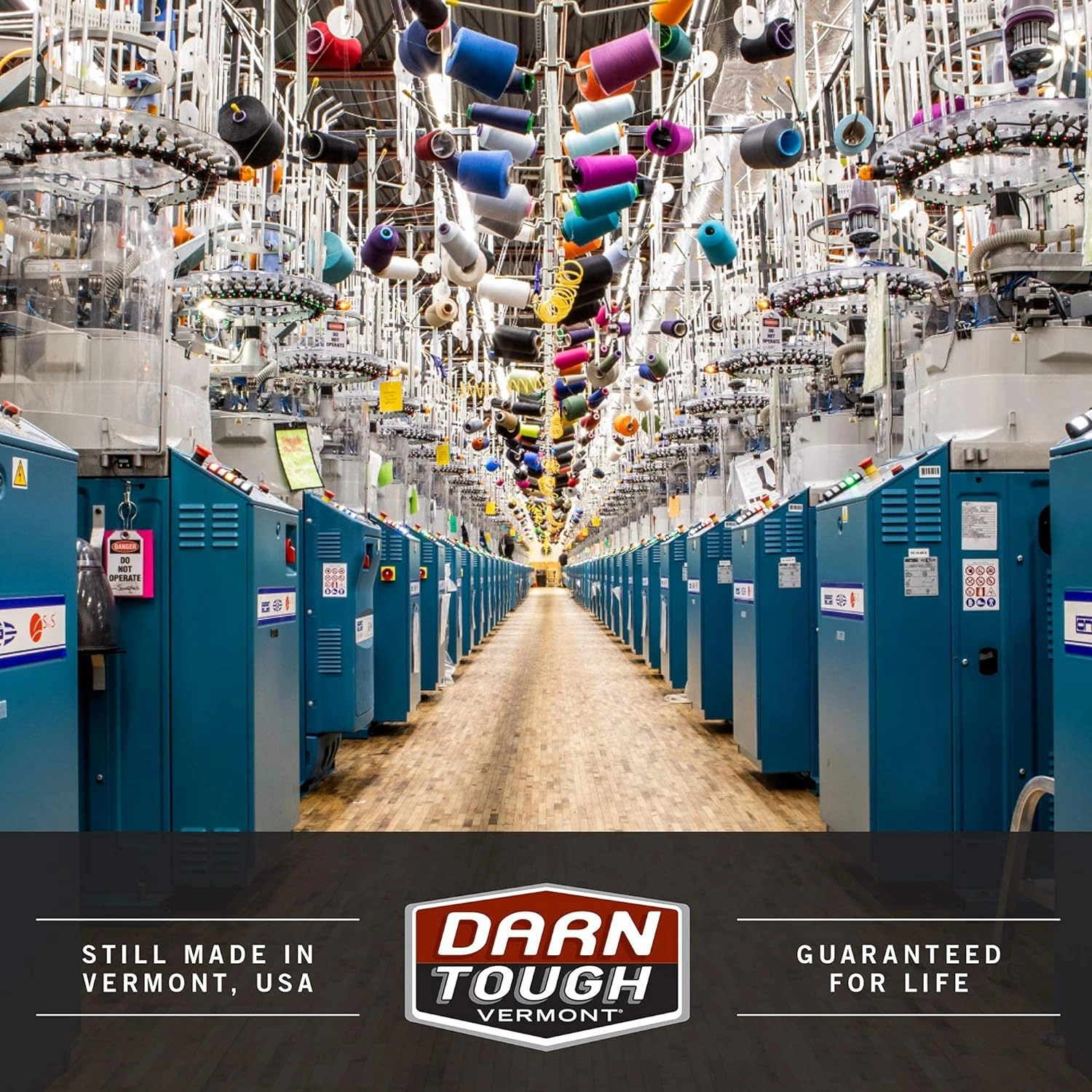 Darn Tough Bear Town Micro Crew Lightweight with Cushion Sock - Women's