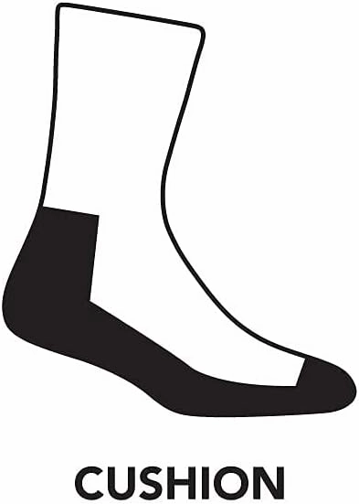 Darn Tough Bear Town Micro Crew Lightweight with Cushion Sock - Women's