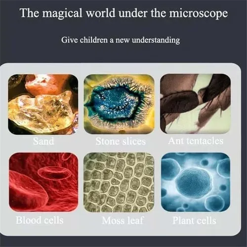 Hot Sale🎁🔥 50% Off - Kid's Portable Pocket Microscope