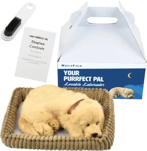 Maplefield Breathing Stuffed Animal Doll - Interactive Lifelike Plush Dog Toy - Mimics The Breathing of a Living Pet - 100% Handcrafted Synthetic Fur for Companionship, Decoration, and Gifting - Lab
