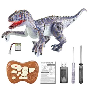 Mini Electric Dinosaur Toy With 2.4g Remote Control for Birthday Gift