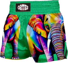 O2TEE Muay Thai Shorts Boxing Shorts MMA Kickboxing Traditional Styles Nation Shorts