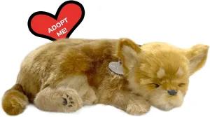 Original Petzzz - Chihuahua, Dog Toys for Kids and Elderly, Realistic Stuffed Dog, Battery-Operated Companion Pet with Synthetic Fur