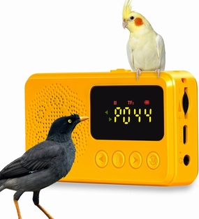 Parrot Toys, Bird Learning Machine - Teach Talking, Whistling, and Singing (Y)