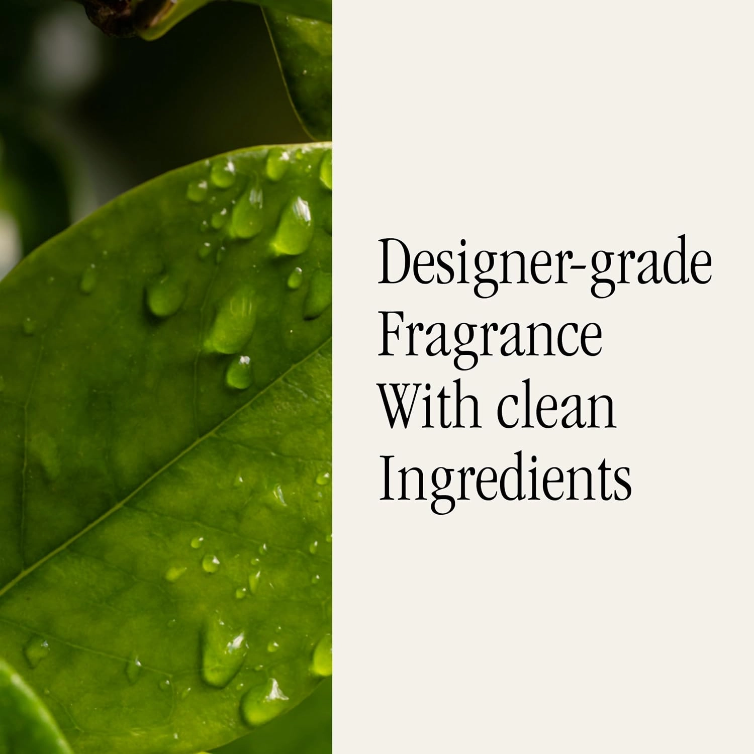 Pura Malodor Refill - Smart Home Air Diffuser - Up to 120-Hours of Premium Fragrance per Refill - Clean Diffuser Fragrance - Air Deodorizer & Odor Eliminator - 2 Pack, Citrus Leaves