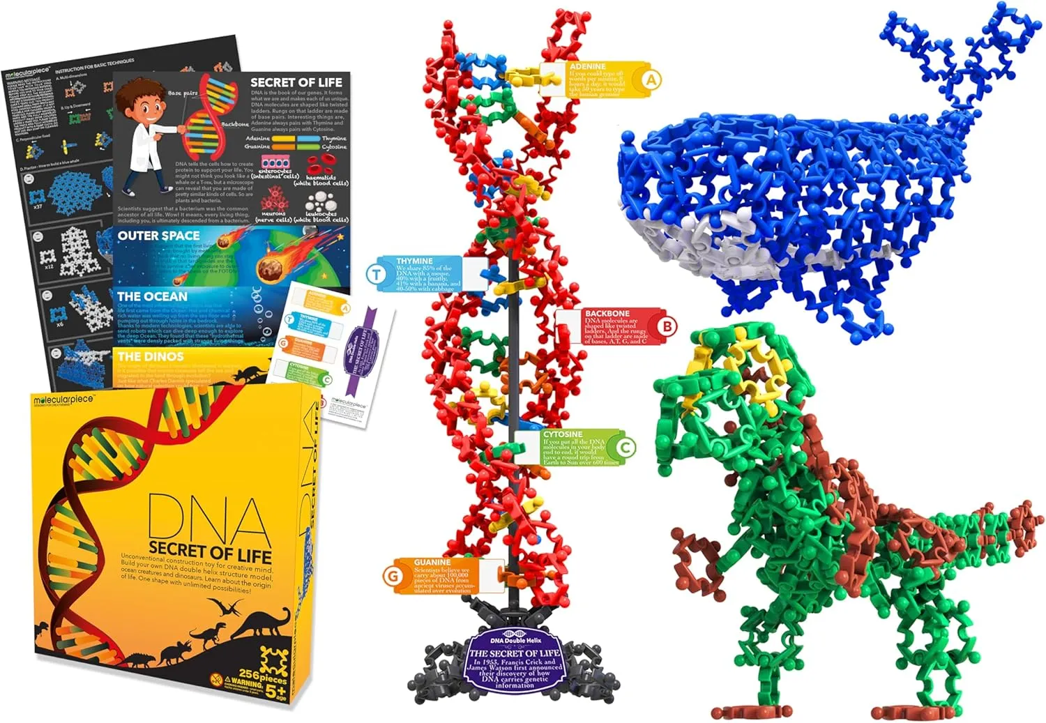 Secret of Life 3 in 1 (256 pcs) 4D STEM Educational Building Toy Kit | DNA Double Helix Structure Model   Marine Life   Dinosaur | Origin of Life | Evolution | Creative Science for Kid