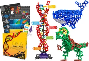 Secret of Life 3 in 1 (256 pcs) 4D STEM Educational Building Toy Kit | DNA Double Helix Structure Model   Marine Life   Dinosaur | Origin of Life | Evolution | Creative Science for Kid