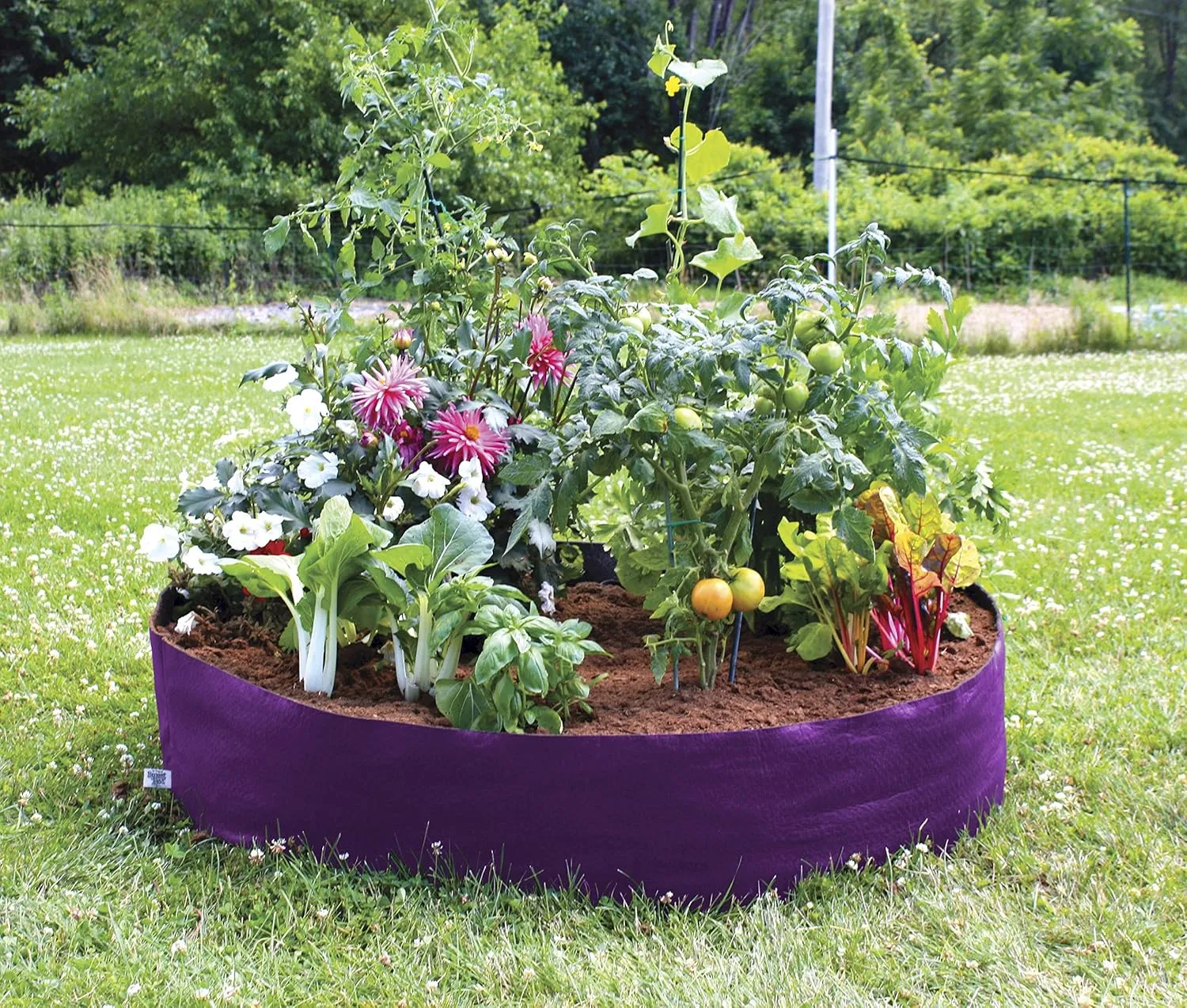 SMART POT 12105 Fabric Pot, Original, Purple, Original