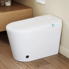 Smart Toilet with Bidet Built in, Eridanus One Piece Bidet Toilet for Bathrooms, Warm Water Wash & Dryer, Foot Sensor Flush, Elongated Heated Seat, Auto Open/Close with Digital Display, White