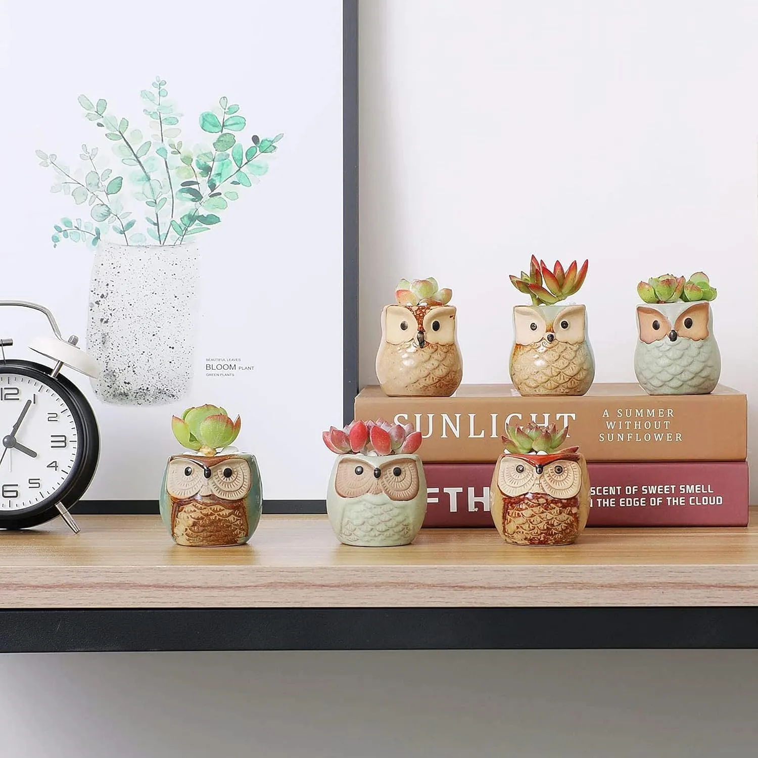 T4U 2.5 Inch Owl Ceramic Succulent Planter Pots with Drainage Hole Set of 12, Small Cactus Pots Cute Plant Holder Container Best for Home Office Decor Gardening Gift