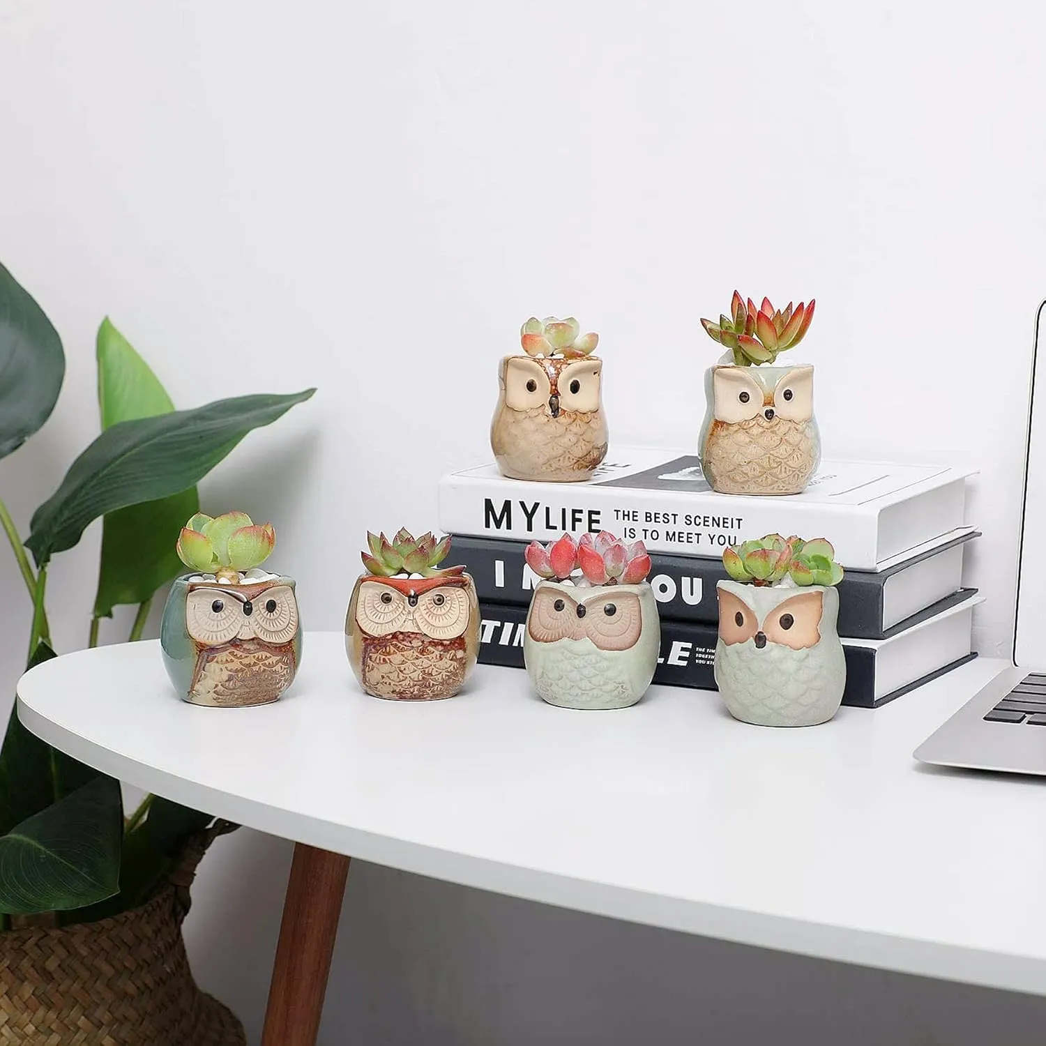 T4U 2.5 Inch Owl Ceramic Succulent Planter Pots with Drainage Hole Set of 12, Small Cactus Pots Cute Plant Holder Container Best for Home Office Decor Gardening Gift