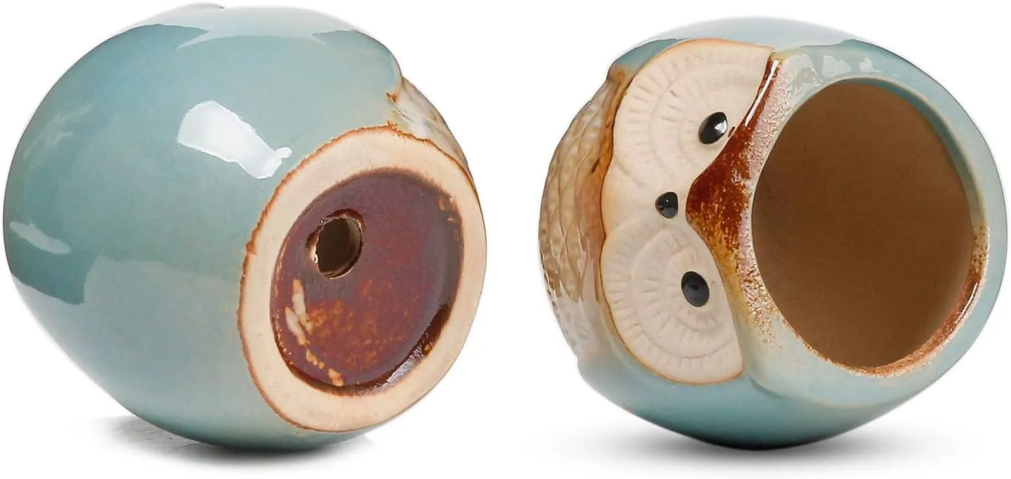 T4U 2.5 Inch Owl Ceramic Succulent Planter Pots with Drainage Hole Set of 12, Small Cactus Pots Cute Plant Holder Container Best for Home Office Decor Gardening Gift