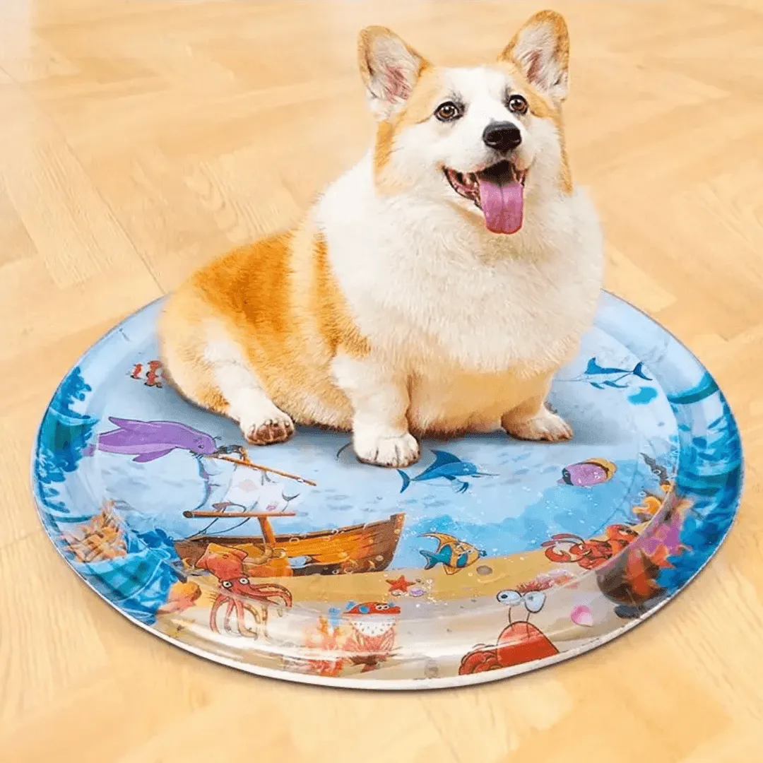 Water Play Mat - Interactive Kids Aquatic Activity Toy